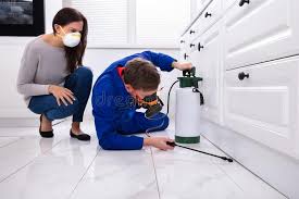 Best Residential Pest Control  in Lloyd Harbor, NY